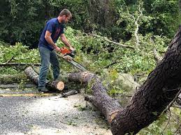 Best Emergency Tree Removal  in Keedysville, MD